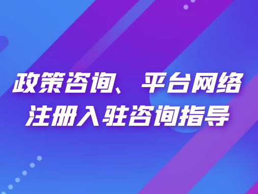 政策咨詢、平臺網(wǎng)絡(luò)注冊入駐咨詢指導(dǎo)